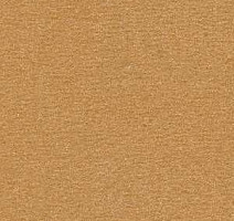 Ковролин Radici Nexus Biondo 8214 фото 1 | FLOORDEALER